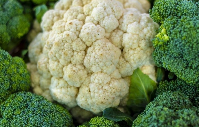 糖尿病可以吃白花椰菜嗎？營養師解析飲食指南與注意事項