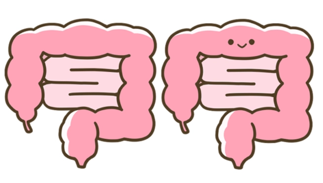 小腸健康全攻略：改善消化與提升免疫力的關鍵
