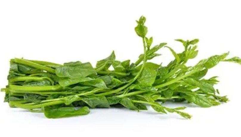 皇宮菜脹氣全解析：原因、預防與低脹氣食譜指南