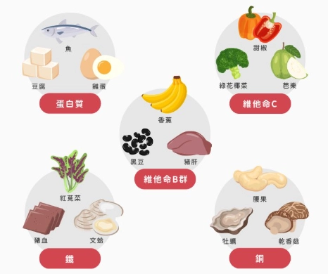 失血過多吃什麼？營養師揭秘三大關鍵營養素與七日補血菜單