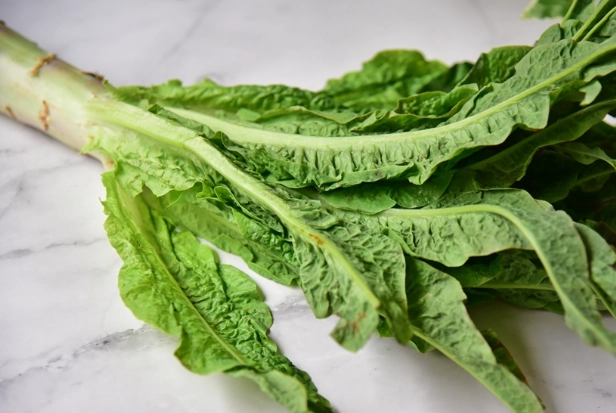 萵筍怎麼挑