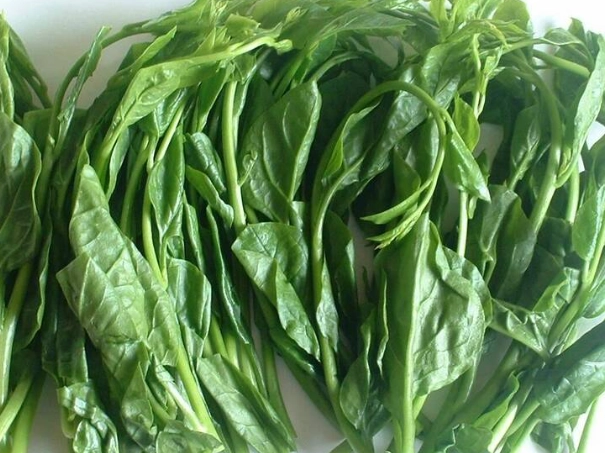 皇宮菜 消化不良