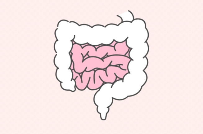 腸道保健
