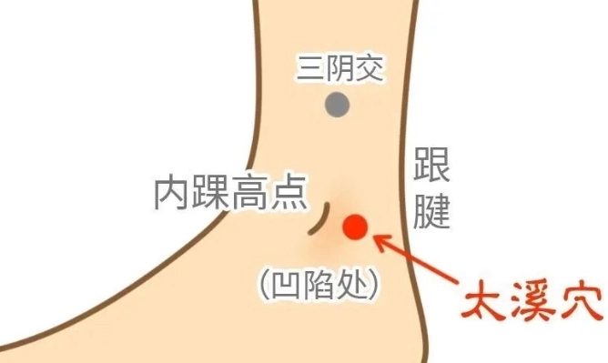 太溪穴功效