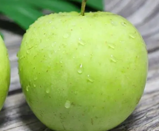 逆流性食道炎 飲食