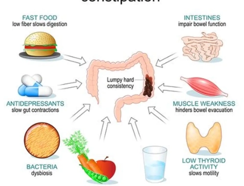 益生菌副作用全解析：常見反應、風險與安全食用指南