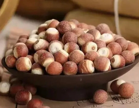 補腎健脾全攻略：從飲食到生活習慣的完整指南