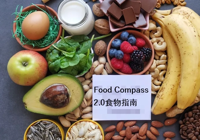 10大營養食物排行榜：專家精選超級食物，吃出健康好體質