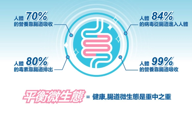 空腹吃益生菌好處
