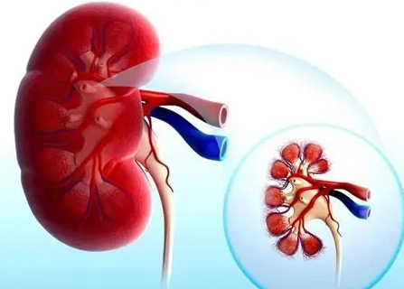 腎水不足如何改善？中醫養生專家分享5大調理秘訣