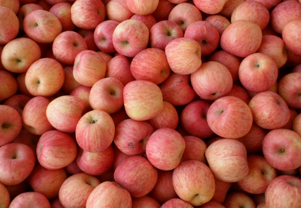 胃食道逆流可以吃蘋果嗎？醫師教你正確吃法與3大關鍵原則