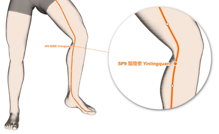 穴位按摩去水腫