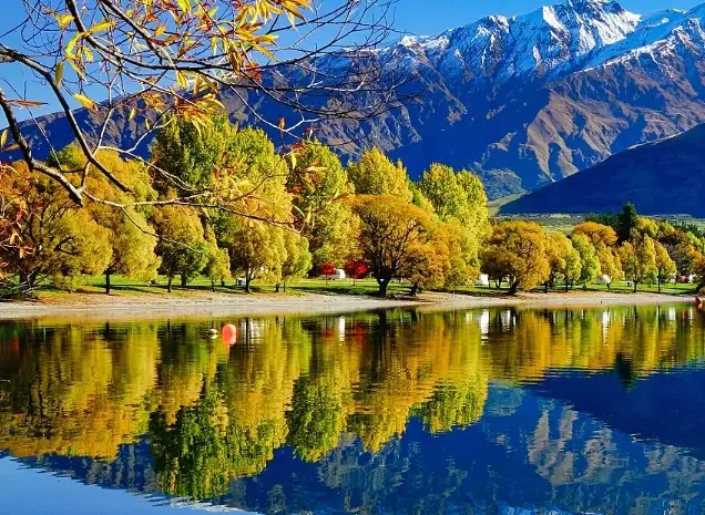 紐西蘭入境卡填寫範例：完整指南與常見錯誤解析