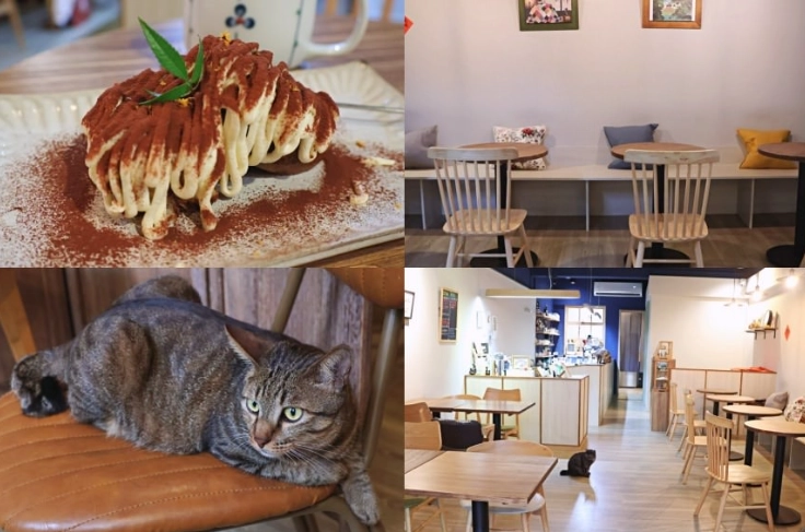 貓咪咖啡廳推薦 貓咪咖啡廳推薦