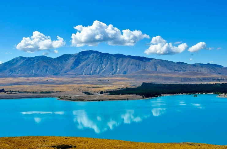 紐西蘭海關規定