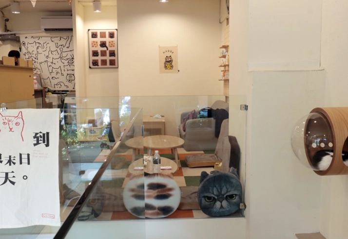 台北貓咪咖啡廳深夜營業 台北貓咪咖啡廳深夜營業