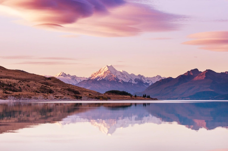 紐西蘭駕照筆試