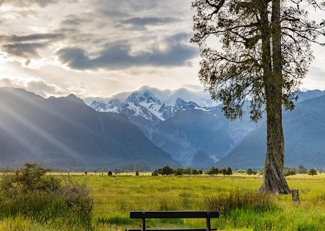 紐西蘭駕照分級