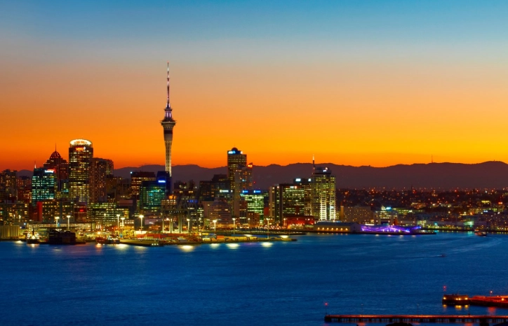 紐西蘭海關禁止物品