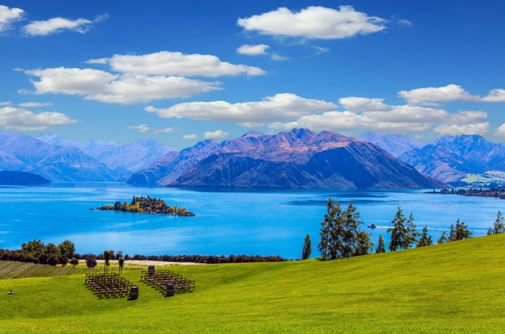 紐西蘭海關規定