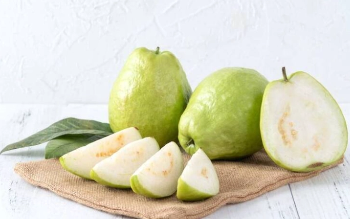 番石榴結果期管理