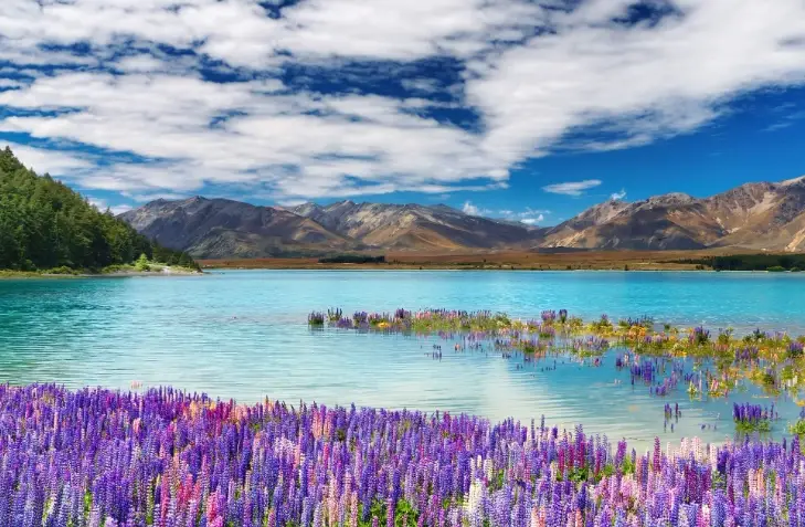 紐西蘭行程規劃