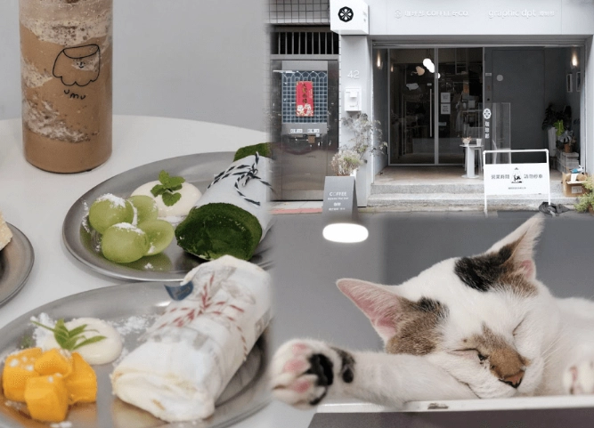 台北貓咪咖啡廳深夜營業 台北貓咪咖啡廳深夜營業