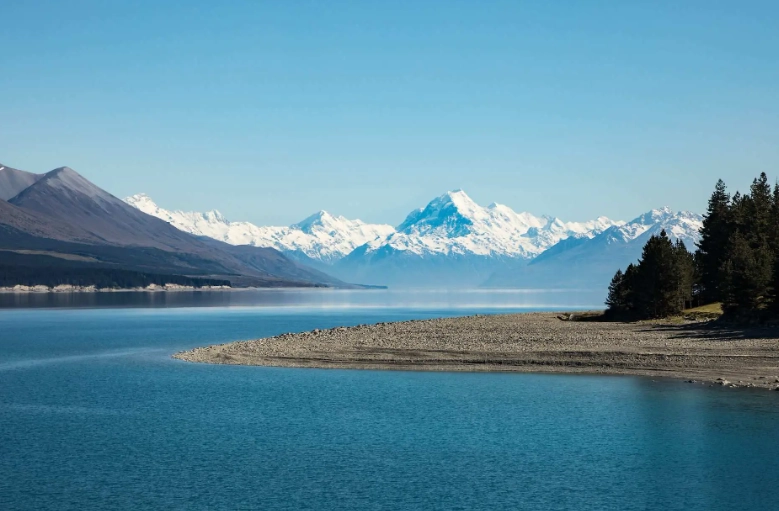 紐西蘭駕照路考