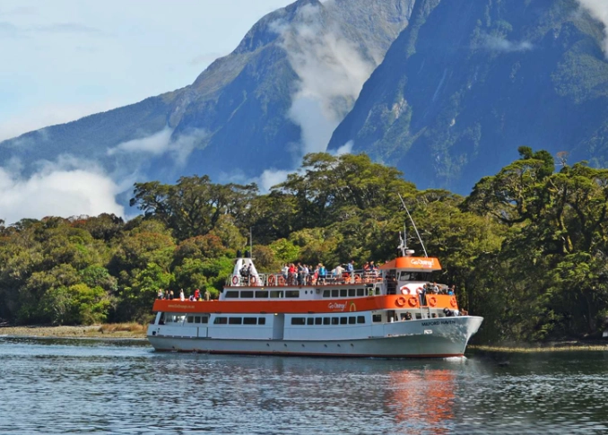 紐西蘭海關禁止物品