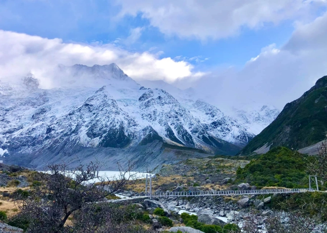 紐西蘭駕照更新