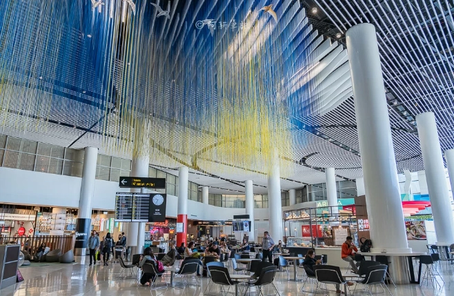 奧克蘭機場轉機