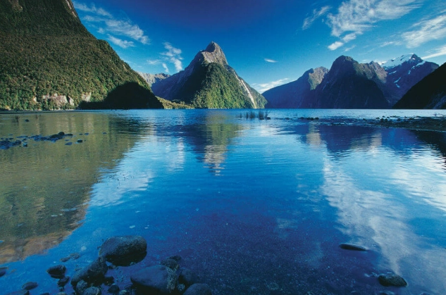 台灣 駕照 換發