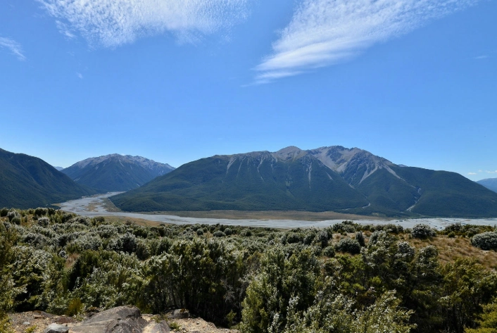 紐西蘭海關規定