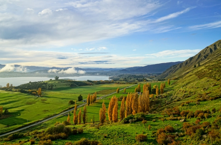 紐西蘭入境規定全攻略：簽證、海關與必知限制一次看懂