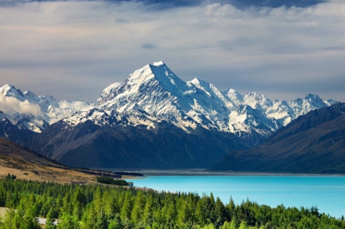 紐西蘭駕照台灣使用