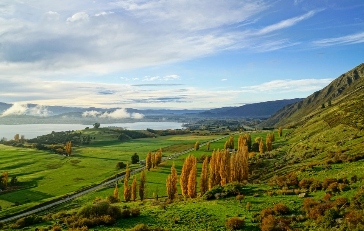 紐西蘭形成：完整行程規劃與必訪景點全攻略