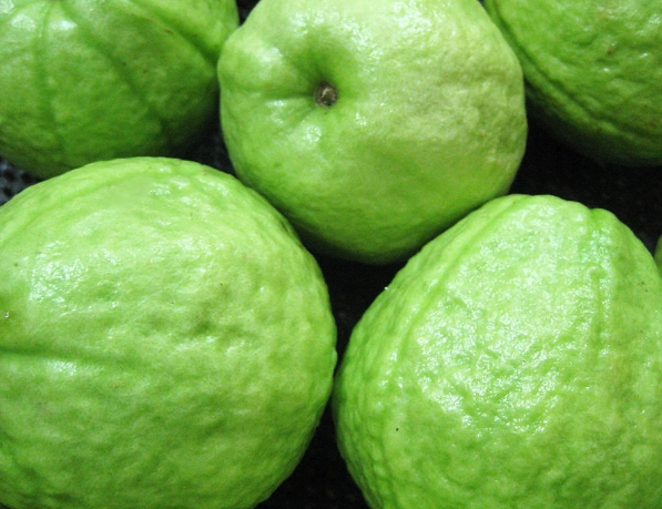 番石榴病蟲害防治