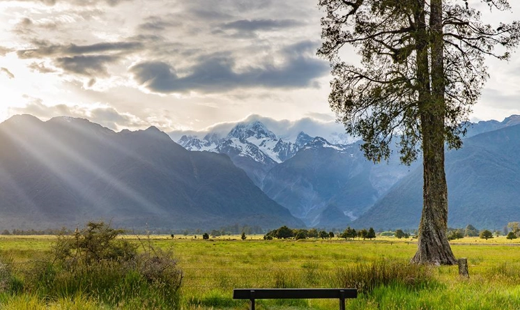 紐西蘭入境卡範例