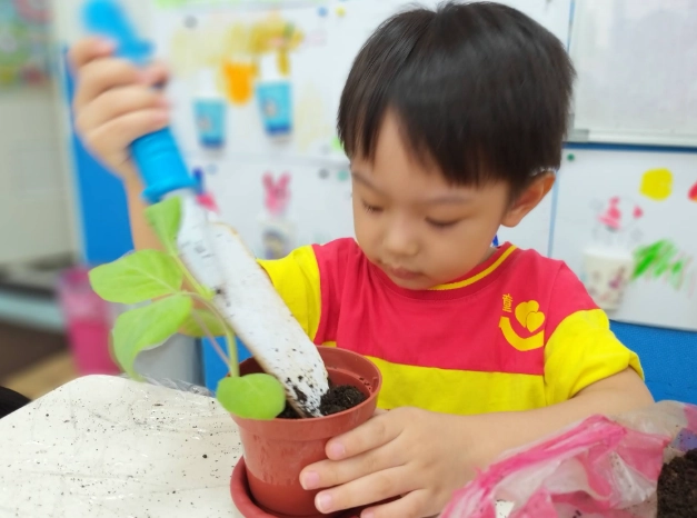 新手爸媽必看！10種最適合幼兒種植的蔬菜推薦與完整指南