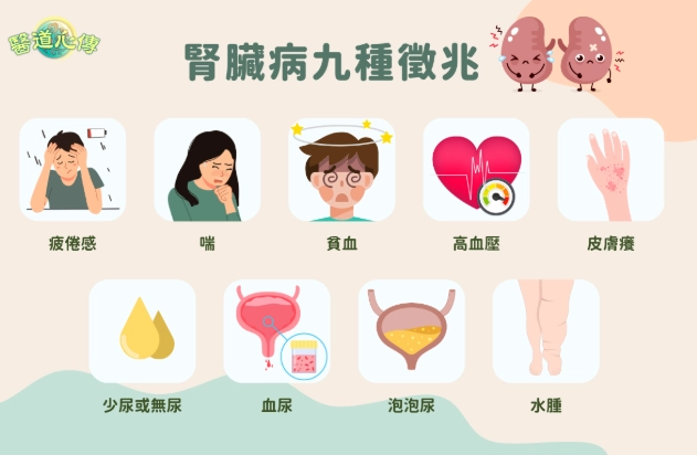 腎臟病第五期逆轉全攻略：從絕望到希望的真實歷程