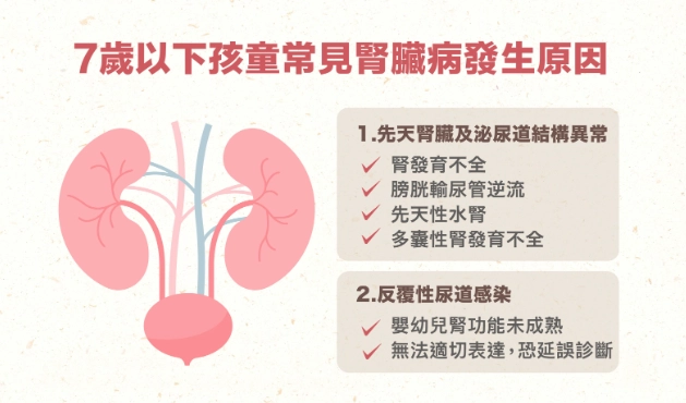 腎臟病可逆嗎？專家解析逆轉關鍵與實用策略
