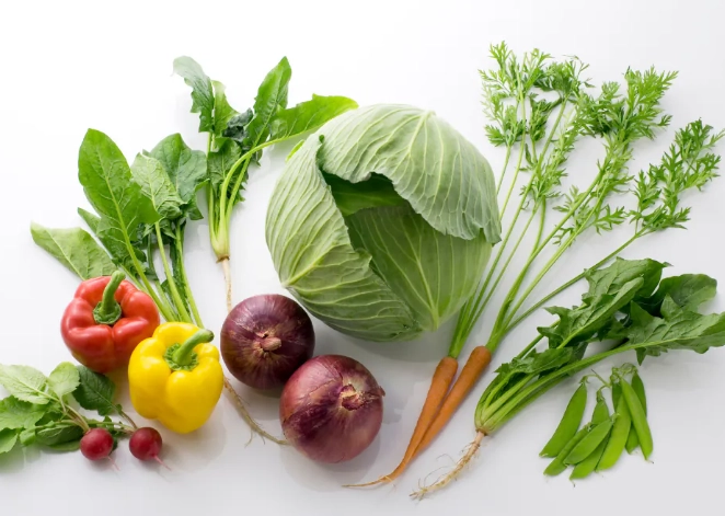 潮濕環境蔬菜種植