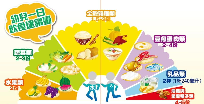 寶寶飲食規劃