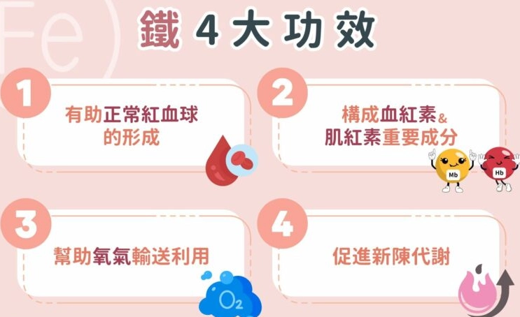 補鐵食物排行榜