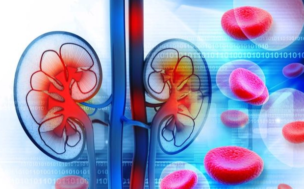 慢性腎臟病第三期