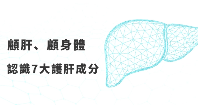 護肝食品推薦：從天然食物到保健食品，一次搞懂怎麼吃最有效