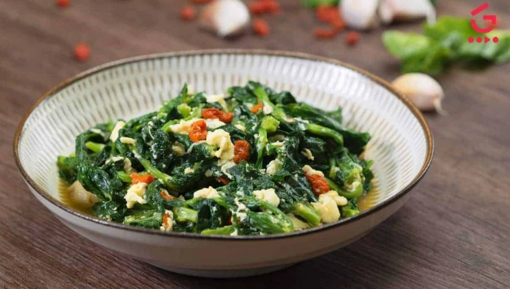 無牙老人粥：軟食料理的營養秘訣與台北三家推薦餐廳