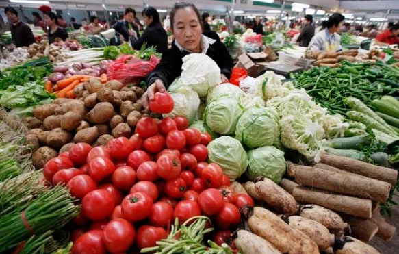 台灣蔬菜種植時間表：全年栽種指南與實用技巧