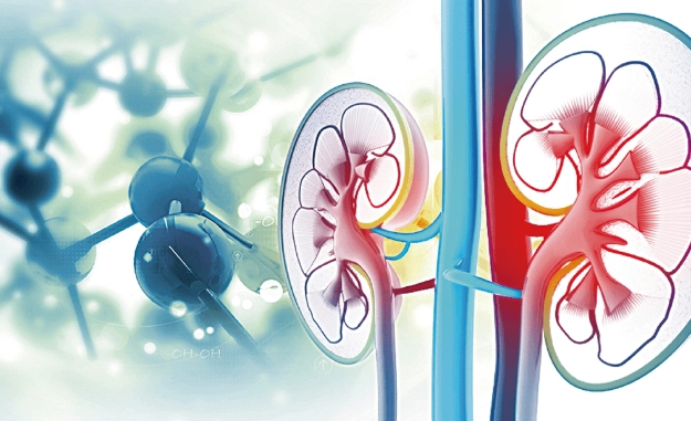 腎臟病飲食