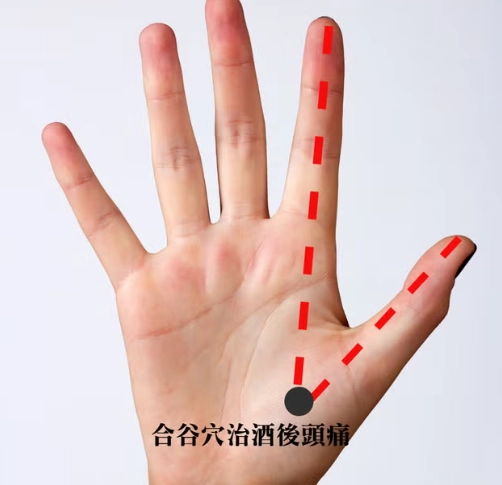 宿醉穴道按壓指南：快速緩解頭痛噁心的3個關鍵穴位